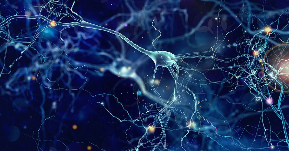 Cos’è l’intelligenza artificiale (IA)? Immagine: Cos’è l’intelligenza artificiale (IA)?
